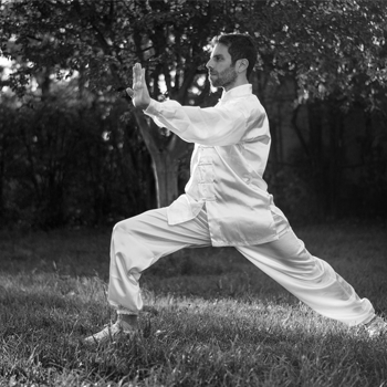 Annuaire Ecoles de Tai Chi Chuan