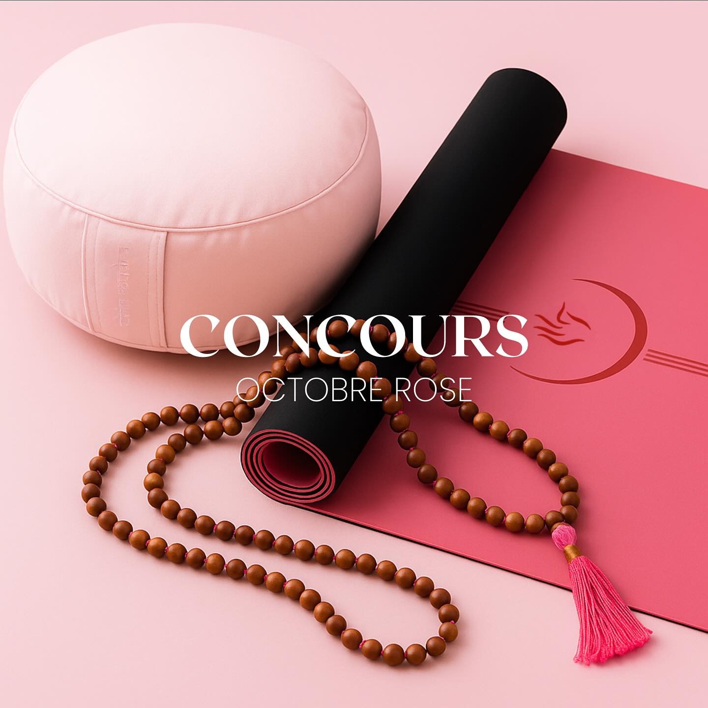 octobre 2025 : concours chin Mudra
