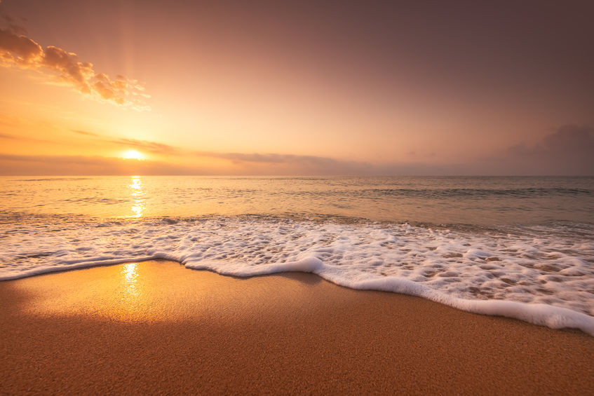 Buddhi Mudra, la force de Jala Buddhu Mudra; conjuguez la force et l'apaissement de l'eau