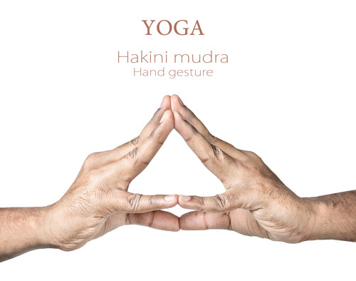 Hakimi Mudra pour un cerveau en pleine forme