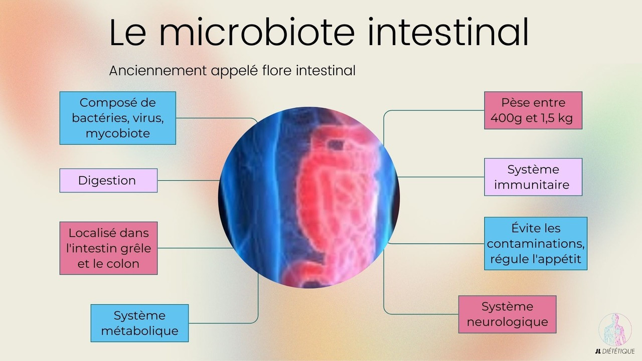 Le microbiote : tout ce qu'il faut savoir