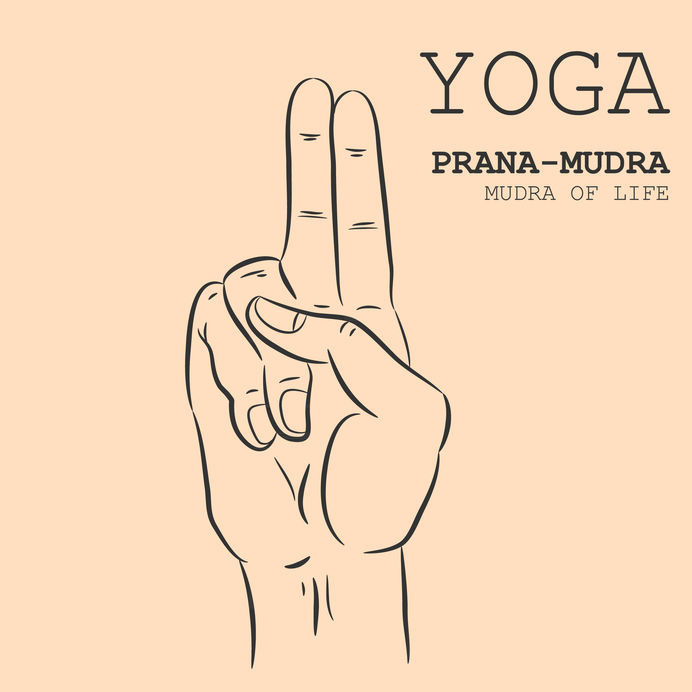 Les bienfaits du Prana Mudra