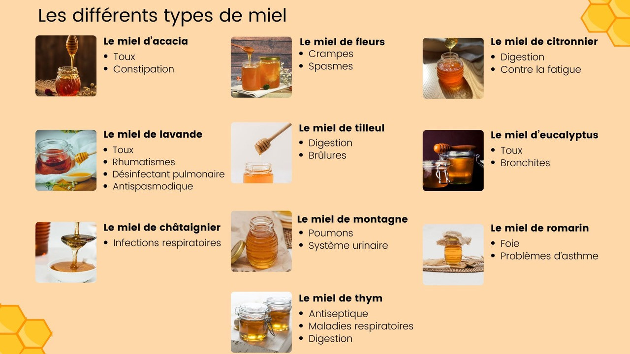 Les différents types de miel