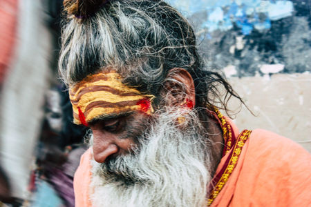 Maha Kumbh Mela : Darshan et bénédiction des sādhus