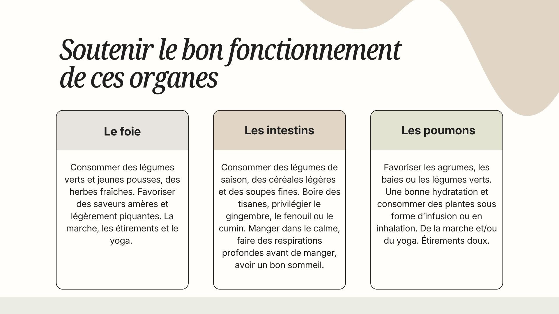 ayurveda, le foie, les poumons et les intestins comment soutenir le bon organe ?