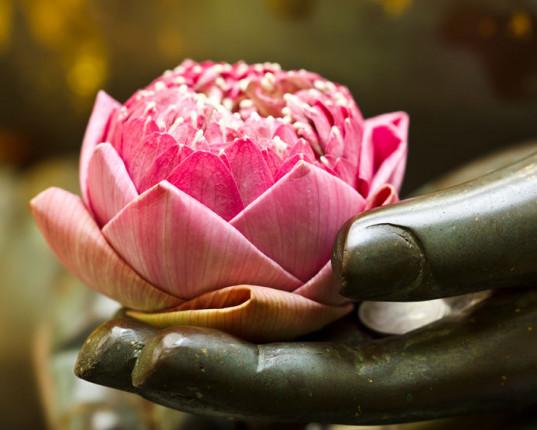 Yoga Sūtra de Patañjali: Yama, premier membre du yoga