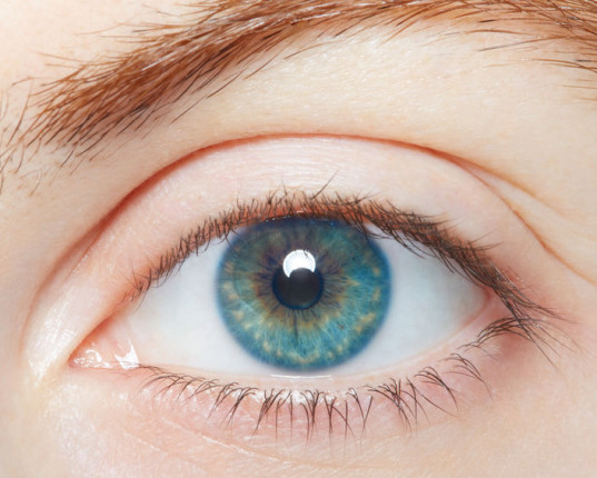 Le Yoga des yeux : Ayurveda, yoga et méthode de Bates
