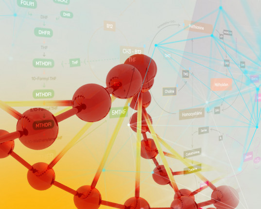 Science : La méditation intensive influence la régulation des gènes
