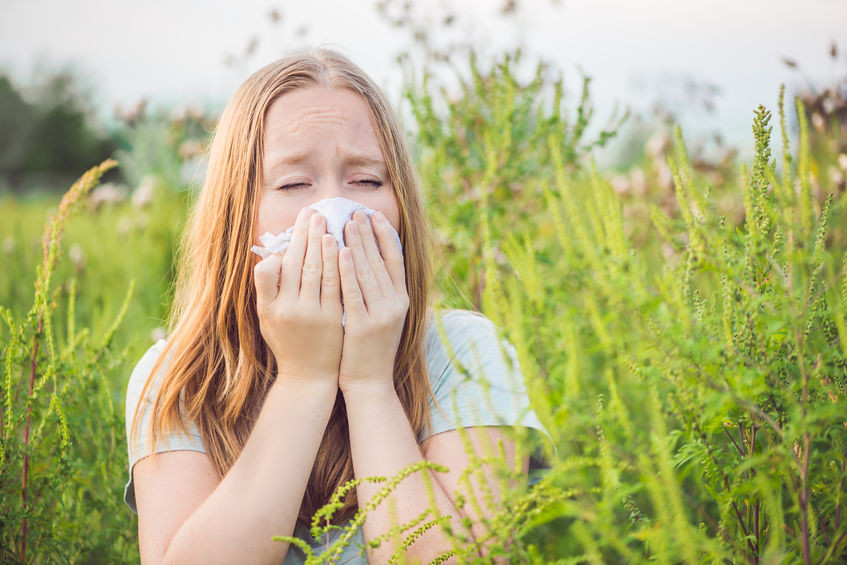 l'Ayurveda contre les allergies aux pollens