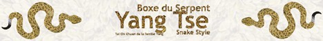 Yang Tse Paris - Tai Chi Chuan de la famille Yang Yang Tse Paris - Tai Chi Chuan de la famille Yang
