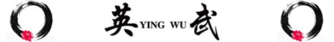 Ying Wu Ying Wu