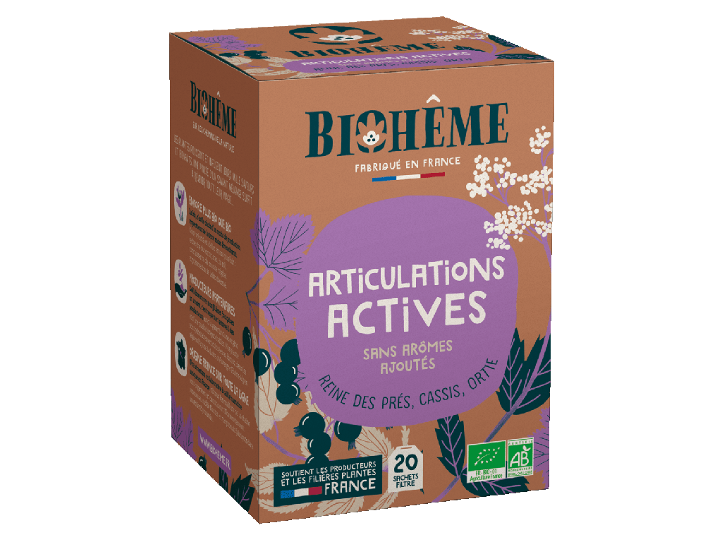 Item Infusion Articulations Actives 20 Infusettes Végétales