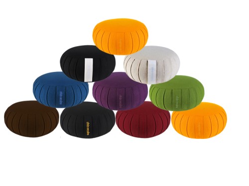Zafus Standards Bio - Epeautre